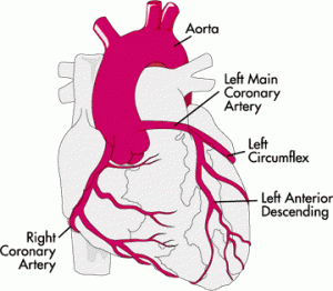 Cardiology